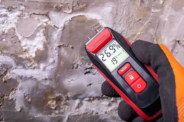 Mold Testing and Removal in Lake Shastina, CA
