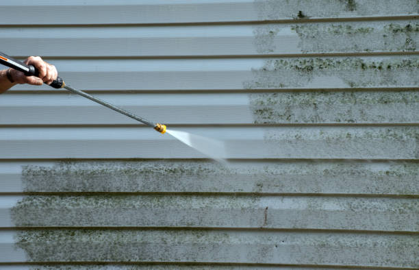 Best Mold Damage Repair  in Lake Shastina, CA