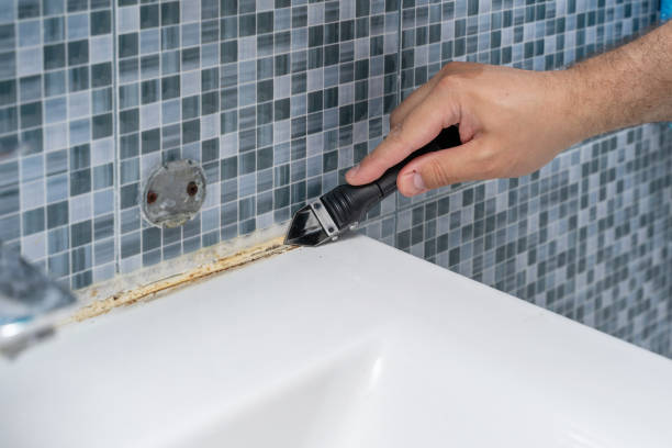 Best Mold Cleaning Services  in Lake Shastina, CA